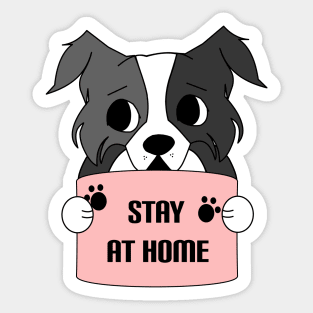 Stay at home - Border collie dog quarantine 2020 Sticker